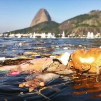 A Despoluição da Baía de Guanabara