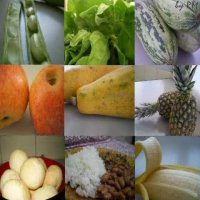 Alimentação Saudável. Os Nutrientes e Suas Funções