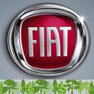 A Fiat no Contexto EcolÃ³gico