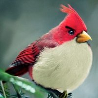 Angry Birds na Vida Real