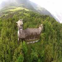 Homem Constrói Gigante Igreja em Forma de Galinha no Meio da Selva Indonésia