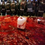 Manifestantes Tailandeses Jogam o PrÃ³prio Sangue em Frente a Sede do Governo