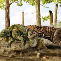 Grupo Encontra CrÃ¢nio de Predador da Era Paleozoica