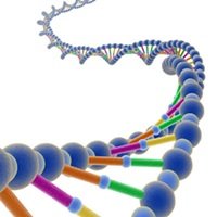 Chips do Futuro Poderão Ser Feitos com DNA