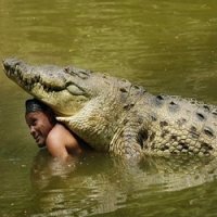 Morre Crocodilo Mais Famoso do Mundo