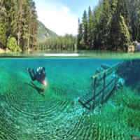 O Visual Surreal do Lago Verde, na Áustria