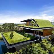Uma Casa com Jardim no Telhado