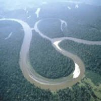 Ameaças à Amazônia Vão Muito Além das Queimadas