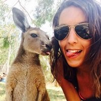 Selfies HilÃ¡rias com Animais
