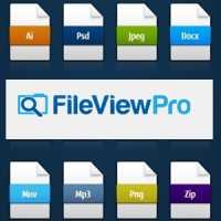 Conheça o Fileviewpro