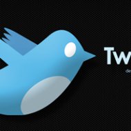 Twitter TerÃ¡ ServiÃ§os Corporativos JÃ¡ em 2009