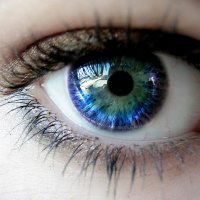 Quantos Megapixels tem Nossos Olhos?