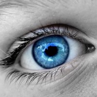 Implante Ocular Restaura Alguma Visão à Cegos