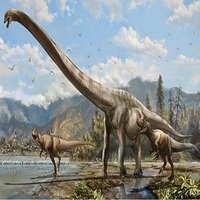 Descoberta Nova Espécie de Dinossauro com Pescoço Comprido